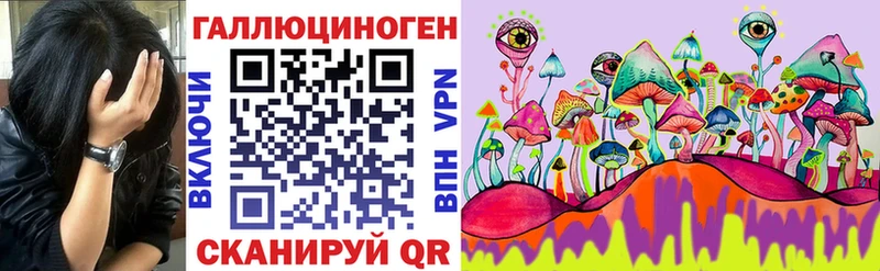 Купить Иннополис Галлюциногенные грибы Cubensis